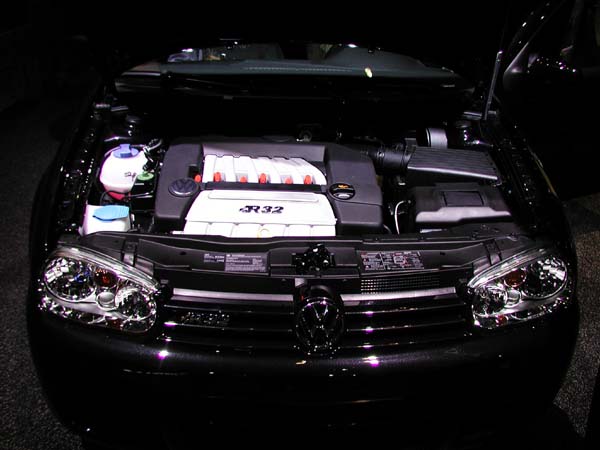 NYAS_2004_VW_01