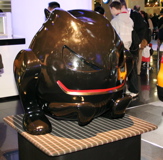 NYAS_2k7_210